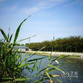 华博度假村(上海国际旅游度假区野生动物园店)酒店提供图片