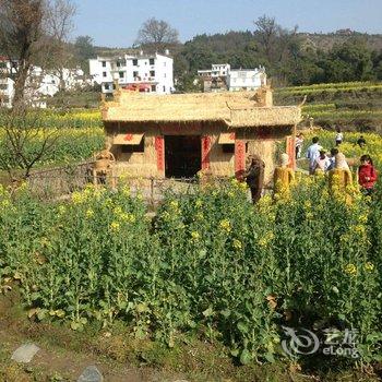 婺源江岭翠菊人家客栈酒店提供图片