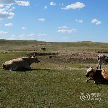 克什克腾旗热水商务会议中心酒店提供图片