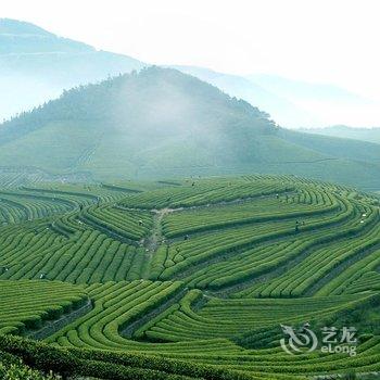 宁波欢墅度假别墅(东钱湖云山麓池店)酒店提供图片