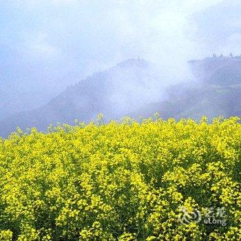 龙胜龙脊银田酒店酒店提供图片