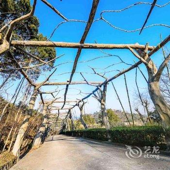 宁波绿野山居度假村酒店提供图片