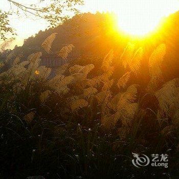 凤凰十二号时光国际青年旅舍酒店提供图片