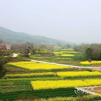 溧阳南山樱花民居客栈酒店提供图片