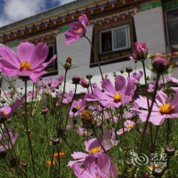 德钦觉色滇乡国际青年旅舍酒店提供图片