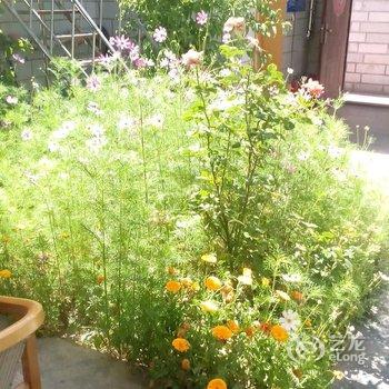 拉萨影像客栈酒店提供图片