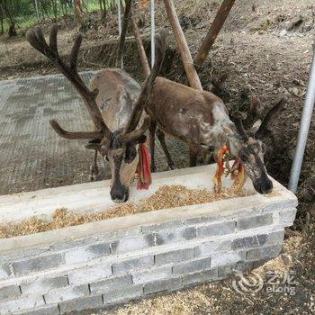 黄山三姐人家酒店提供图片