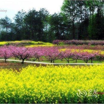 宏村画景楼客栈酒店提供图片