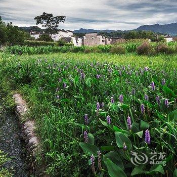 宏村清和月客栈酒店提供图片