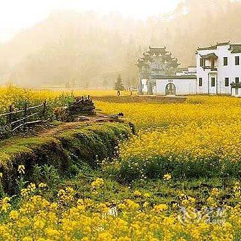 婺源泰洁客栈酒店提供图片