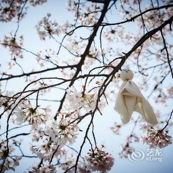 武汉晴川假日酒店酒店提供图片