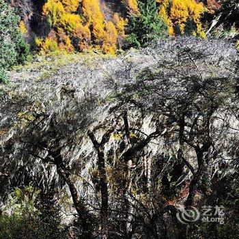 阿坝州四姑娘山阿巴郎花园客栈酒店提供图片