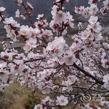 张家口亚龙湾生态度假村酒店提供图片