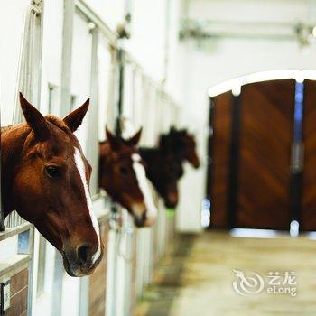 天津环亚国际马球会大酒店酒店提供图片