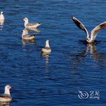 丽江泸沽湖清云湖客栈酒店提供图片