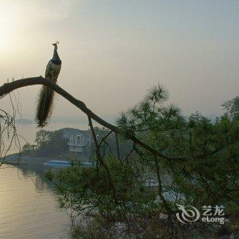 千岛湖开元度假村酒店提供图片