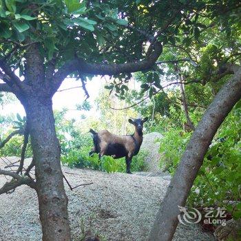 台山海角城旅游度假中心酒店提供图片