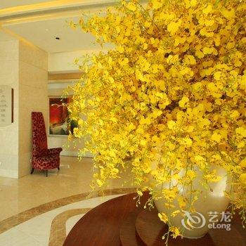 上海东怡大酒店酒店提供图片