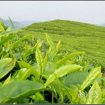 余姚四明湖开元山庄酒店提供图片