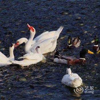 云浮龙山温泉酒店酒店提供图片