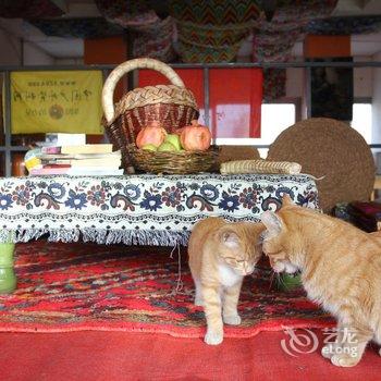 喀什麦田国际青年旅舍酒店提供图片