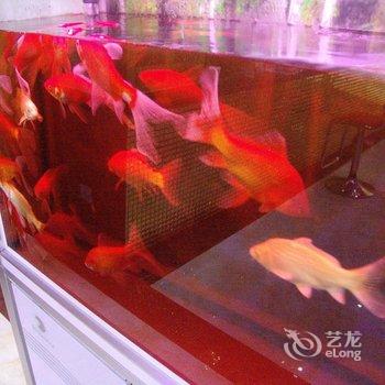 兰州金都商务宾馆酒店提供图片