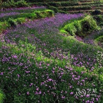 婺源篁岭晒秋美宿酒店提供图片