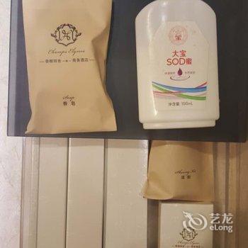 平顶山香榭丽舍精品酒店酒店提供图片