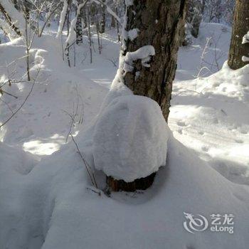 雪乡太平沟红松林酒店酒店提供图片