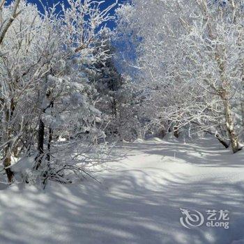 雪乡太平沟红松林酒店酒店提供图片