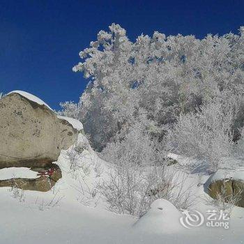 雪乡太平沟红松林酒店酒店提供图片