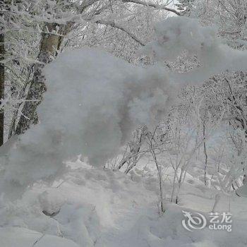 雪乡太平沟红松林酒店酒店提供图片