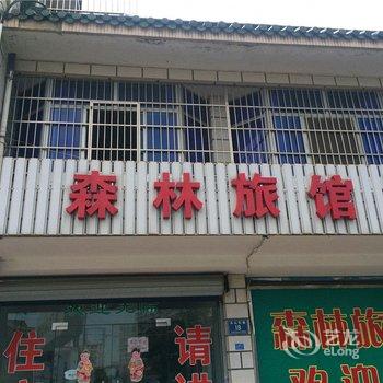 平湖森林旅馆酒店提供图片