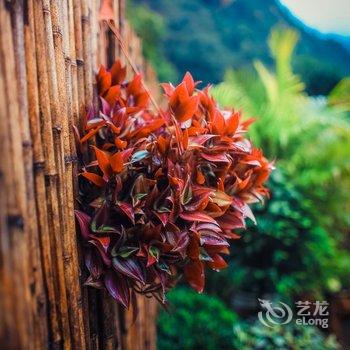 雁荡山南亚小栈酒店提供图片