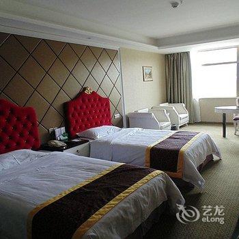 随州鼎新假日酒店酒店提供图片