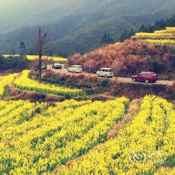 婺源礼耕堂客栈酒店提供图片