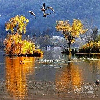 西昌湿地公园听海小筑酒店提供图片