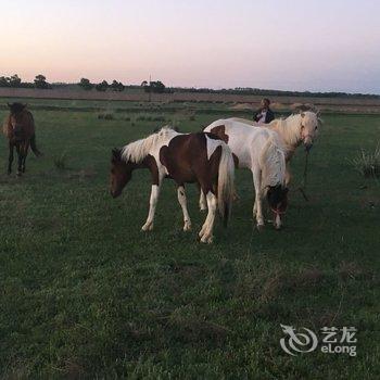 张北云升农家院酒店提供图片