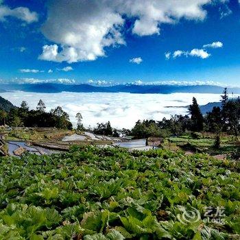 元阳游人码头青年旅舍酒店提供图片