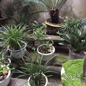 婺源望江楼客栈酒店提供图片