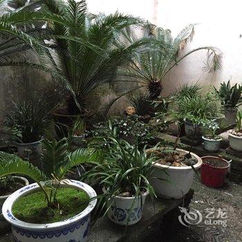 婺源望江楼客栈酒店提供图片