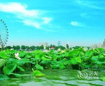 阜阳颍上新城宾馆酒店提供图片