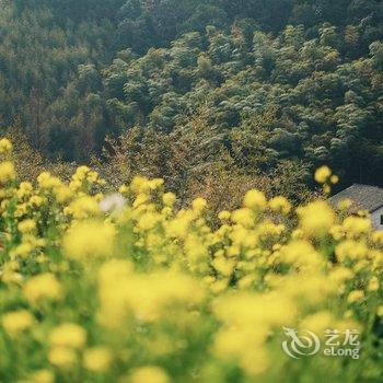 莫干山西坡山乡度假酒店提供图片