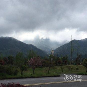 九华山凤凰缘宾馆酒店提供图片