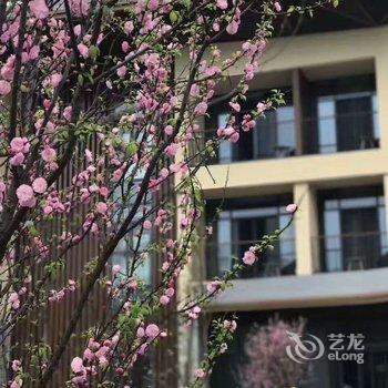 峨眉山智选假日酒店酒店提供图片