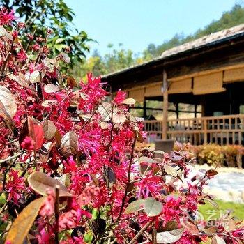 临安山间乡村旅游度假酒店提供图片