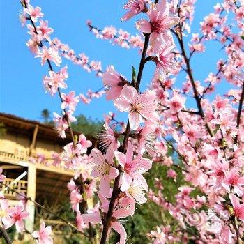 临安山间乡村旅游度假酒店提供图片