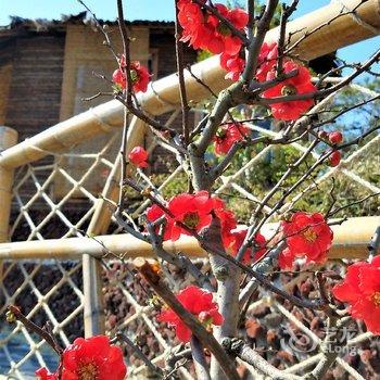 临安山间乡村旅游度假酒店提供图片