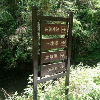 千岛湖隐栖民宿酒店提供图片