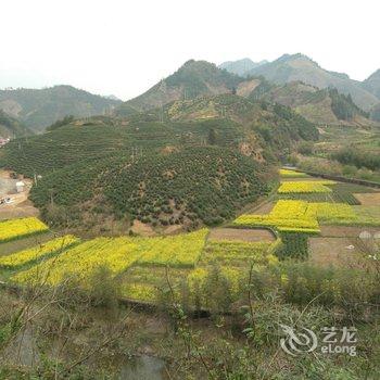 千岛湖隐栖民宿酒店提供图片